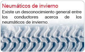 Neumticos de invierno