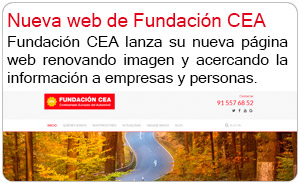 Nueva web de Fundacin CEA 