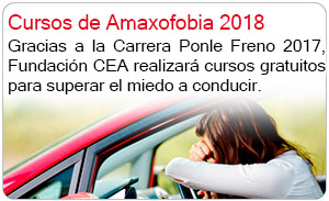 Cursos de Amaxofobia