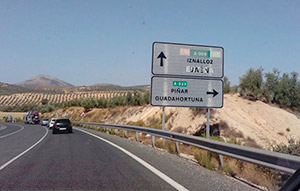 Carretera A 308