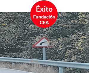 Señal con poca visibilidad en Carretera LE-4306