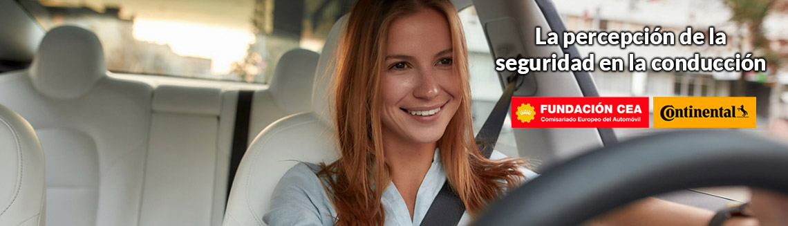 Estudio Seguridad Conduccion